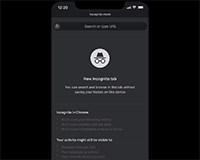 Incognito Design System Exit Mode Supplemental
