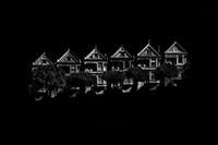 The Unpainted Ladies of Alamo Square by Burton Rast